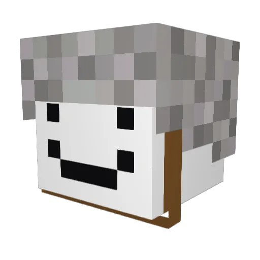 Simon48408 Minecraft avatar head, 3D render