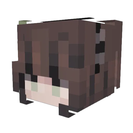 SimonLePro Minecraft avatar head, 3D render