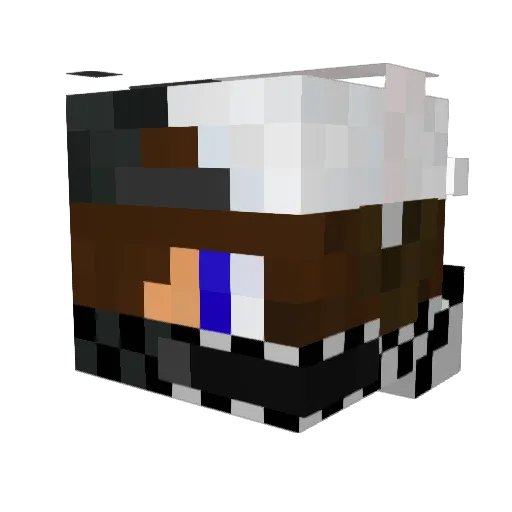 SimonTang1610 Minecraft avatar head, 3D render