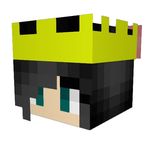 Simone508 Minecraft avatar head, 3D render