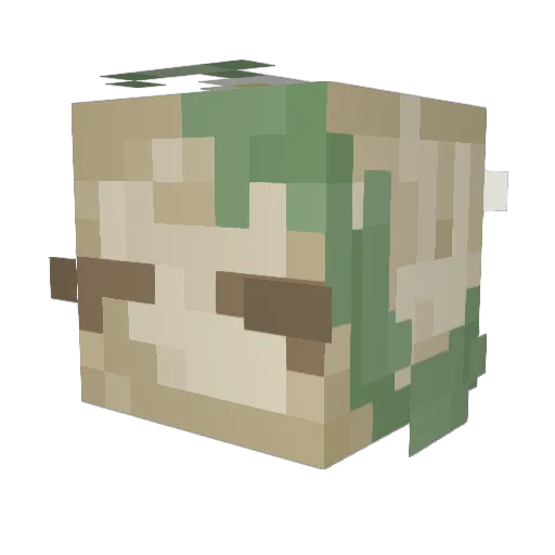 SimoneS10 Minecraft avatar head, 3D render