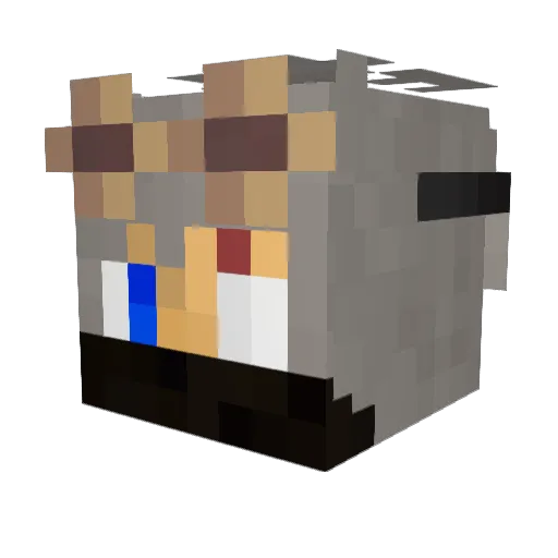 Simoxxxxxxx Minecraft avatar head, 3D render