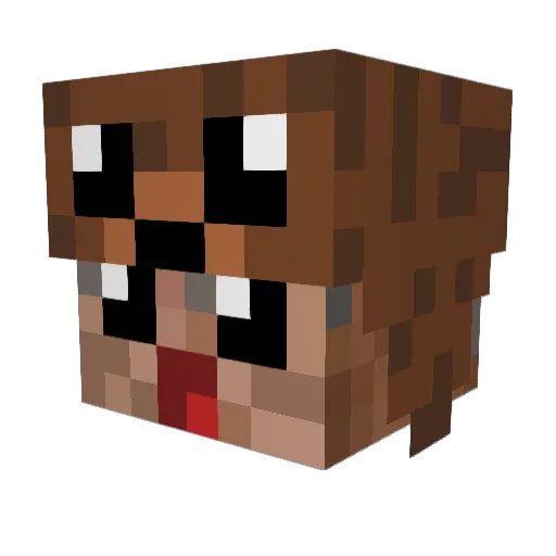 Simp4YouBby Minecraft avatar head, 3D render