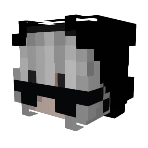 SimpingForNici Minecraft avatar head, 3D render