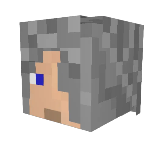 SimpleBot55 Minecraft avatar head, 3D render