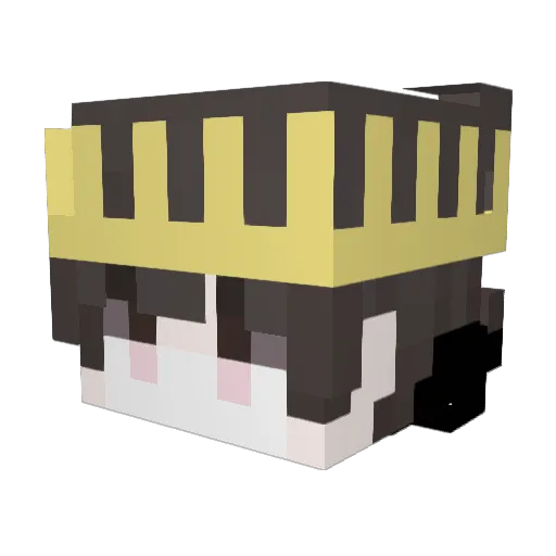 SimpleBueno1YT Minecraft avatar head, 3D render