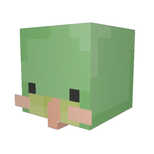 SimpleDragon Minecraft avatar head, 3D render