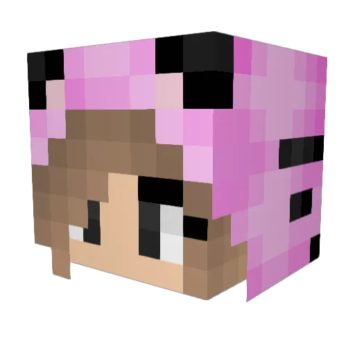 SimpleFigh Minecraft avatar head, 3D render