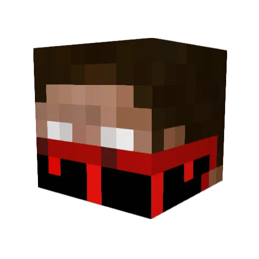 SimpleIGN Minecraft avatar head, 3D render