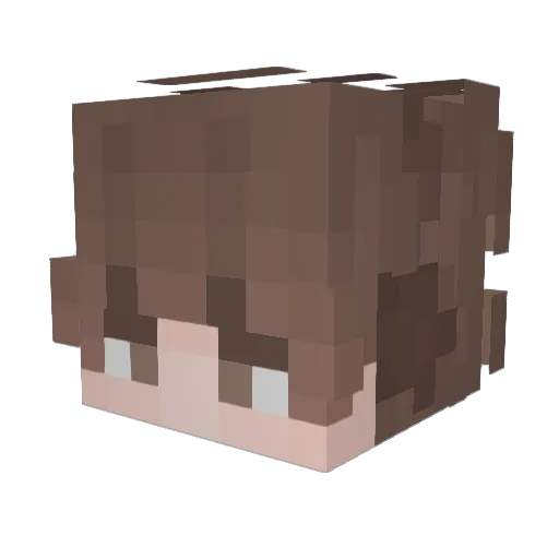 Simple_Gaming24 Minecraft avatar head, 3D render