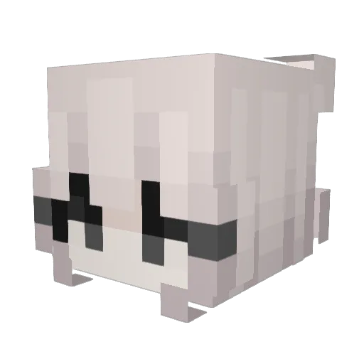 SimplexVanitas Minecraft avatar head, 3D render