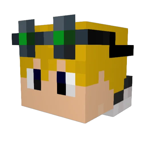 Simplexington Minecraft avatar head, 3D render