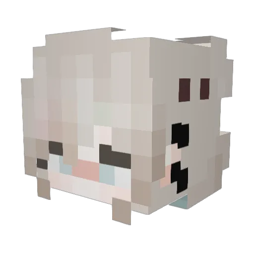 Simplicity445 Minecraft avatar head, 3D render