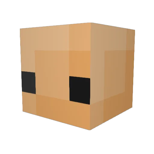 Simplicity_101 Minecraft avatar head, 3D render
