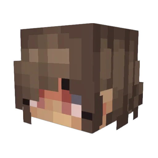 Simplixiity Minecraft avatar head, 3D render