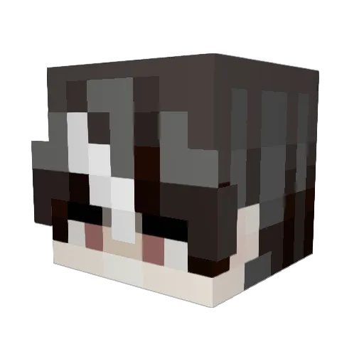Simplout Minecraft avatar head, 3D render