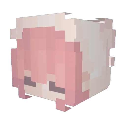 SimplyAva12 Minecraft avatar head, 3D render