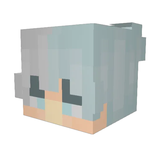 SimplyAvit Minecraft avatar head, 3D render