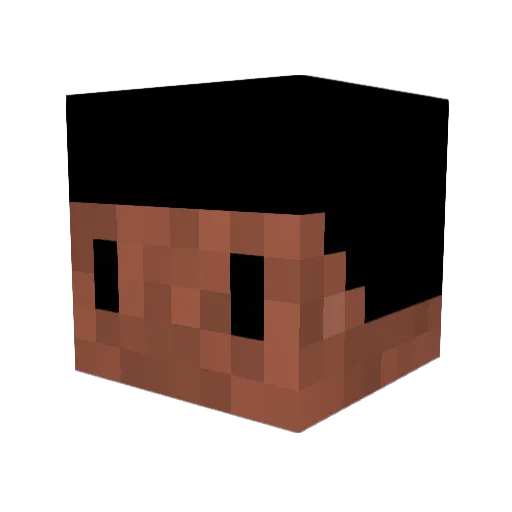 SimplyBray0 Minecraft avatar head, 3D render