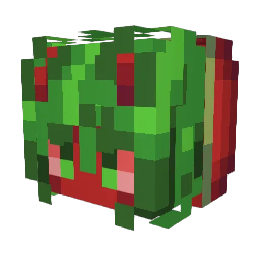 SimplyMelonHaver Minecraft avatar head, 3D render