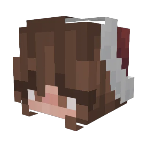 SimplyNuggett Minecraft avatar head, 3D render