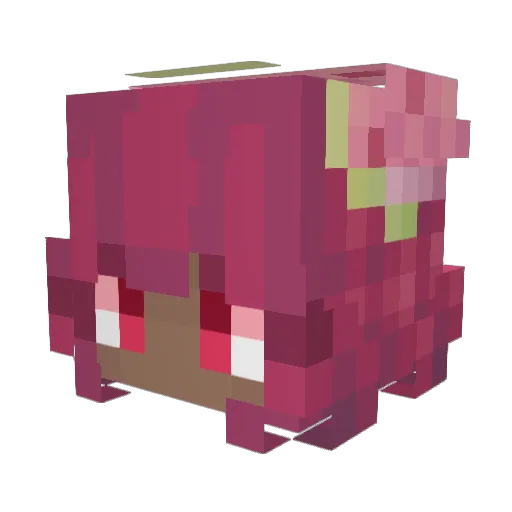 SimplySalem12 Minecraft avatar head, 3D render