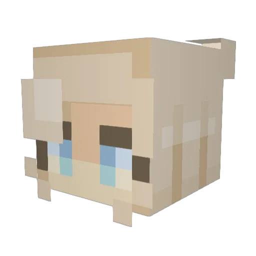 SimplySammi101 Minecraft avatar head, 3D render