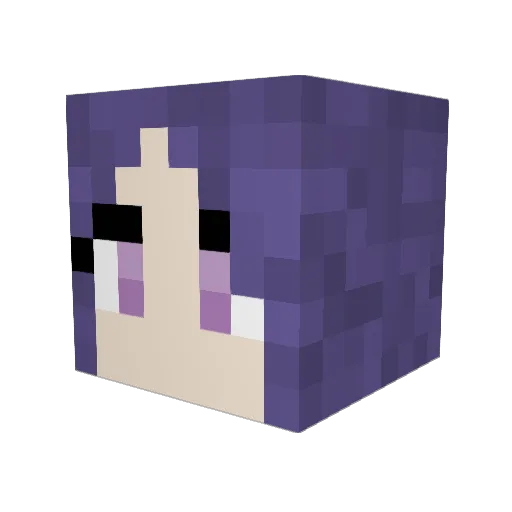 SimplyShamir Minecraft avatar head, 3D render