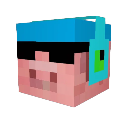 SimplyStijn Minecraft avatar head, 3D render
