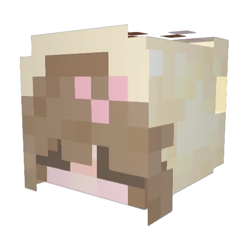 SimplySw33t Minecraft avatar head, 3D render