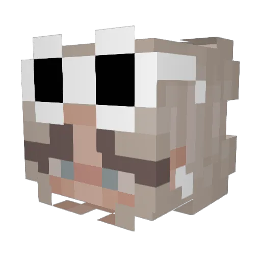 SimplyZoe Minecraft avatar head, 3D render