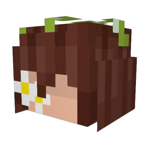 SimplyZuzu Minecraft avatar head, 3D render
