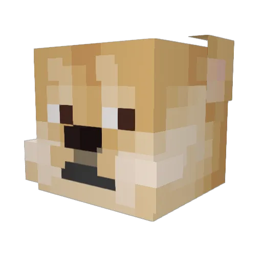Simply_Doggo Minecraft avatar head, 3D render