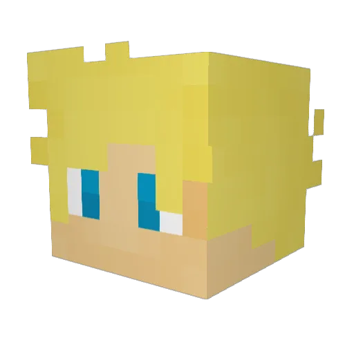 Simply_Nobody Minecraft avatar head, 3D render
