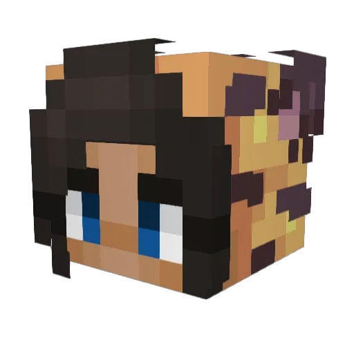 Simplyme05 Minecraft avatar head, 3D render