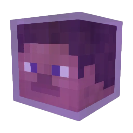Simplymeeee Minecraft avatar head, 3D render