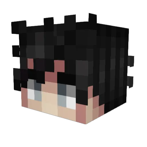 Simpsters Minecraft avatar head, 3D render