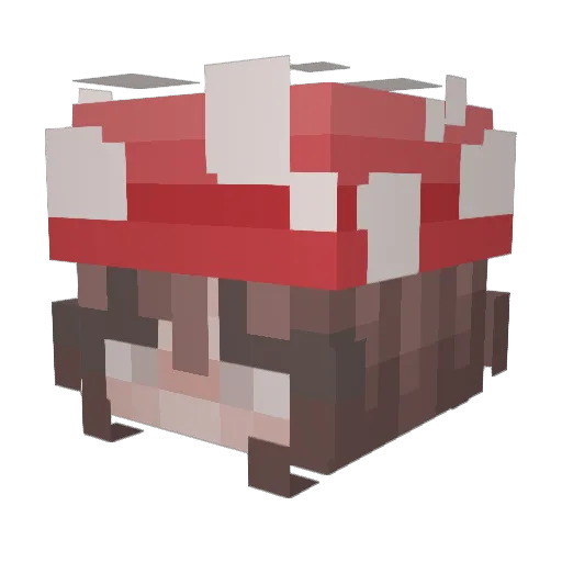 Simrooz16 Minecraft avatar head, 3D render