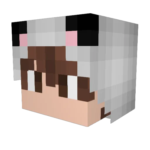 Simscool101 Minecraft avatar head, 3D render