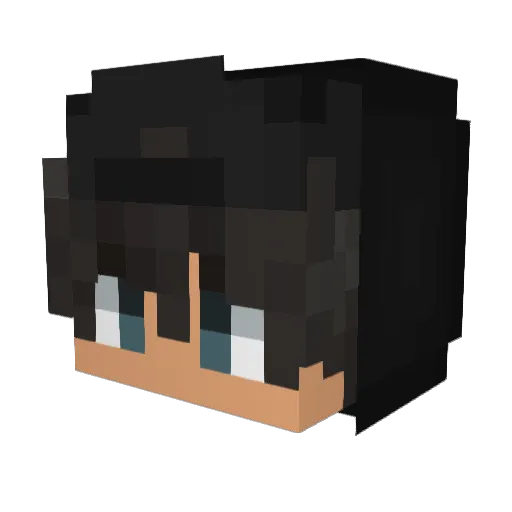 SimsonFahrerFlo Minecraft avatar head, 3D render