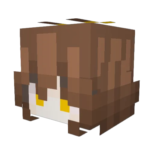 Simwol0130 Minecraft avatar head, 3D render