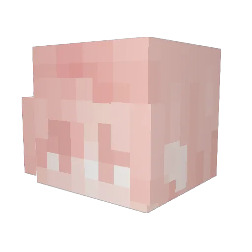SinIxEr1 Minecraft avatar head, 3D render
