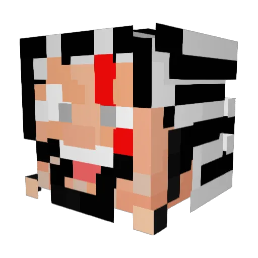 SinOfWrath810 Minecraft avatar head, 3D render