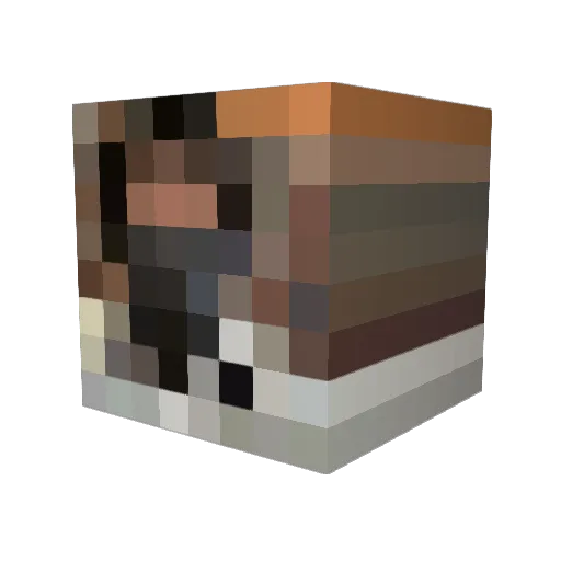Sinalardo Minecraft avatar head, 3D render