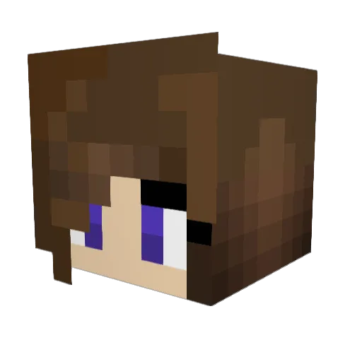 Sinarea Minecraft avatar head, 3D render
