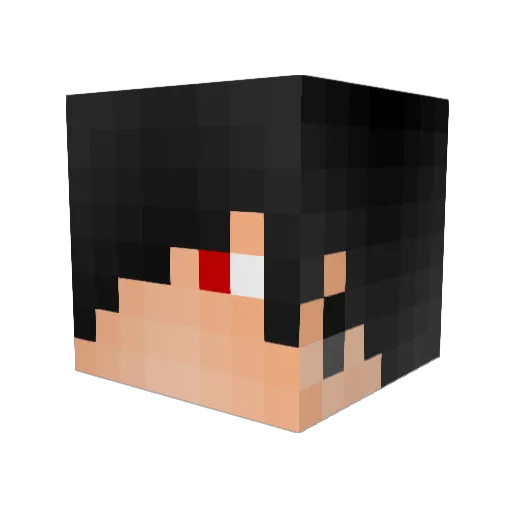 Sinbu_ Minecraft avatar head, 3D render