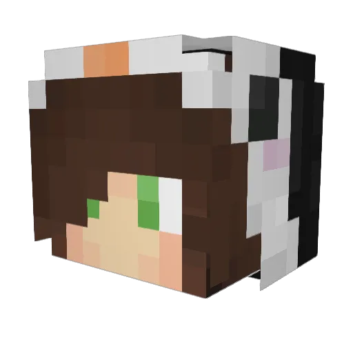 SincereSleep Minecraft avatar head, 3D render