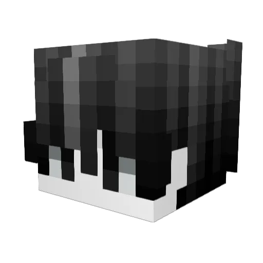 SineJawir Minecraft avatar head, 3D render