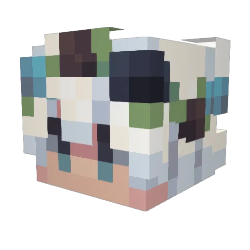 Sineoflife Minecraft avatar head, 3D render