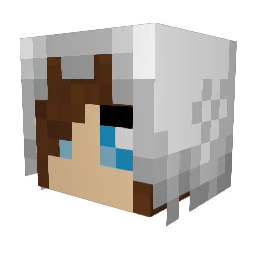 Sinestra101 Minecraft avatar head, 3D render